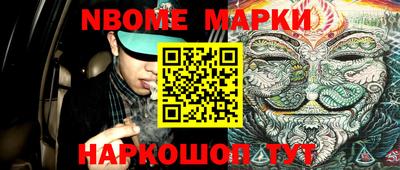 крисы Новодвинск