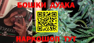крисы Новодвинск